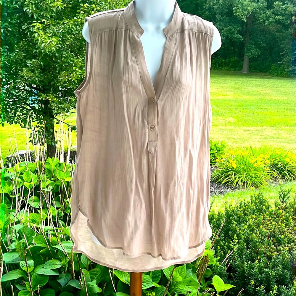 Sheer tan blouse